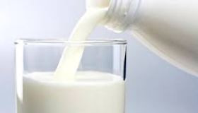 Το γάλα είναι λευκό ή ελαφρώς κιτρινωπό υγρό και θρεπτικό για τον άνθρωπο. Εξασφαλίζει τις απαραίτητες θρεπτικές ουσίες (λίπος, υδατάνθρακες (λακτόζη) και πρωτεΐνες), αλλά περιέχει και μεγάλη ποσότητα από ασβέστιο και φώσφορο, που είναι πολύ απαραίτητα για τη δημιουργία του σκελετού και μυών.