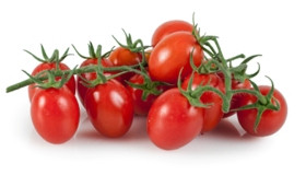 Η τομάτα είναι φυτό της οικογένειας των Στρυχνοειδών, ιθαγενές της Κεντρικής και Νοτίου Αμερικής, από το Μεξικό μέχρι το Περού. Ζει μόνο μερικά χρόνια και συνήθως καλλιεργείται ως μονοετές φυτό. Καλλιεργείται σε όλο τον κόσμο και προτιμάται από πολλούς για σαλάτα, αλλά και για σάλτσες.